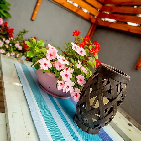 Aparthome Greenbean Bihać